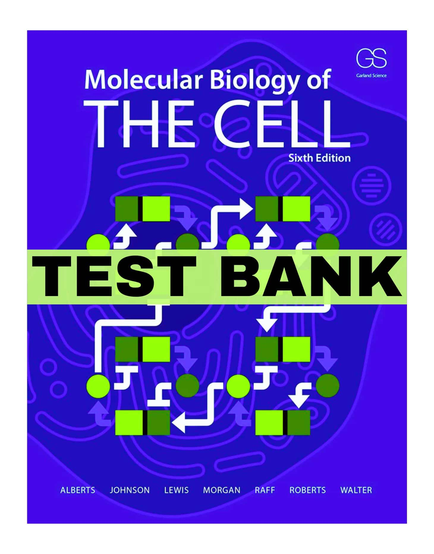 image_2024-06-10_130718900-1